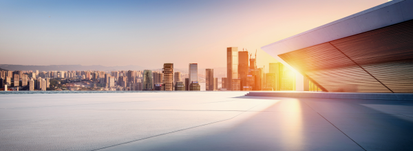 新聞動(dòng)態(tài)